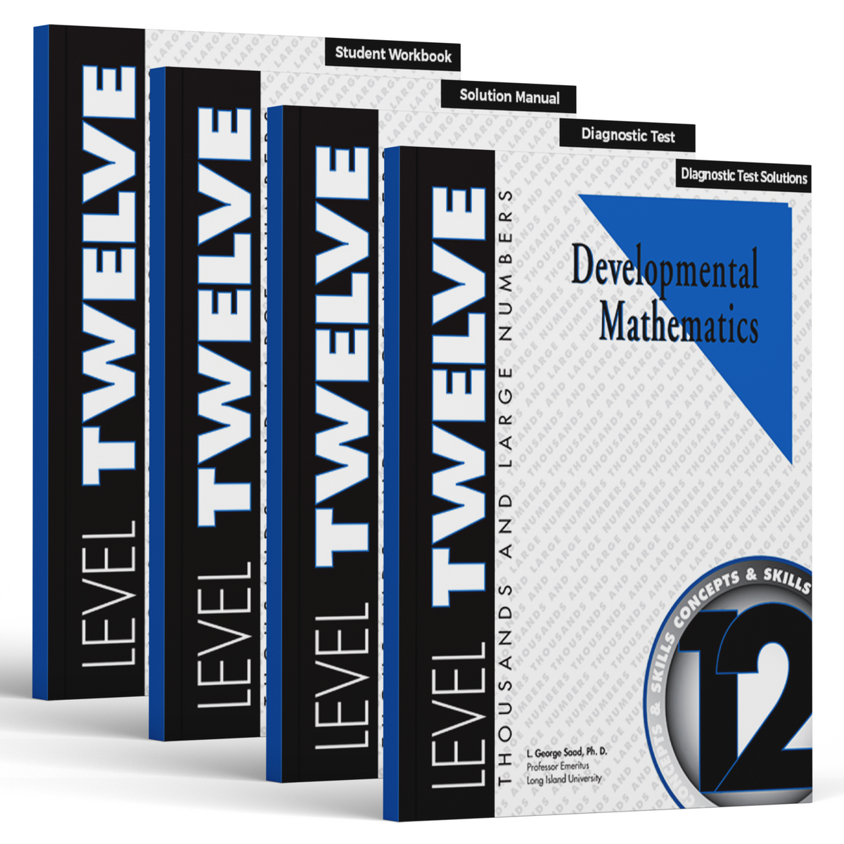 Developmental Mathematics: Level 12 E-Book Set | 6th Grade Math Curriculum | Thousands and Large Numbers: Concepts and Skills (12 Month Access)