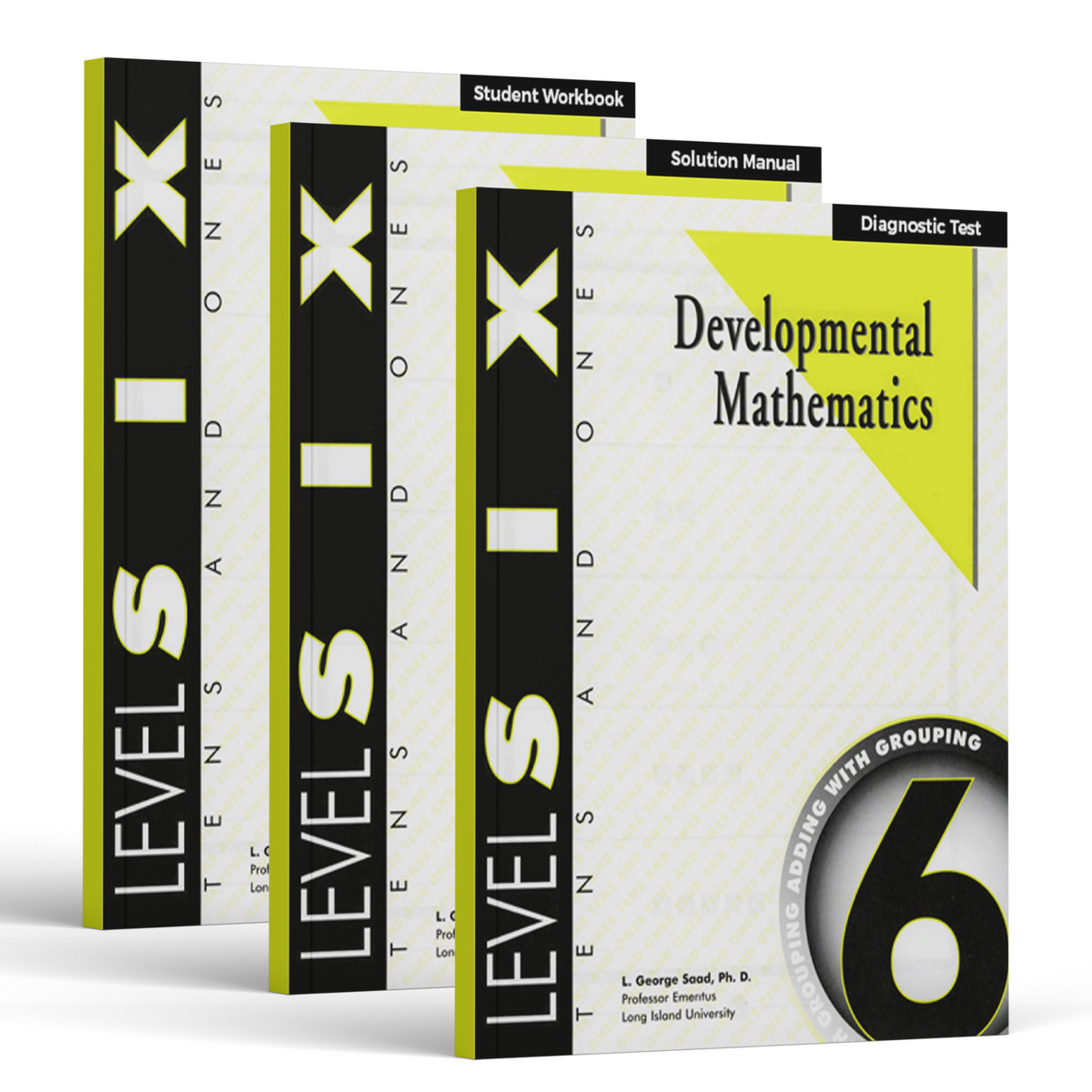 Developmental Mathematics: Level 6 E-Book Set | 4th Grade Math Curriculum | Tens & Ones: Adding and Grouping (6 Month Access)