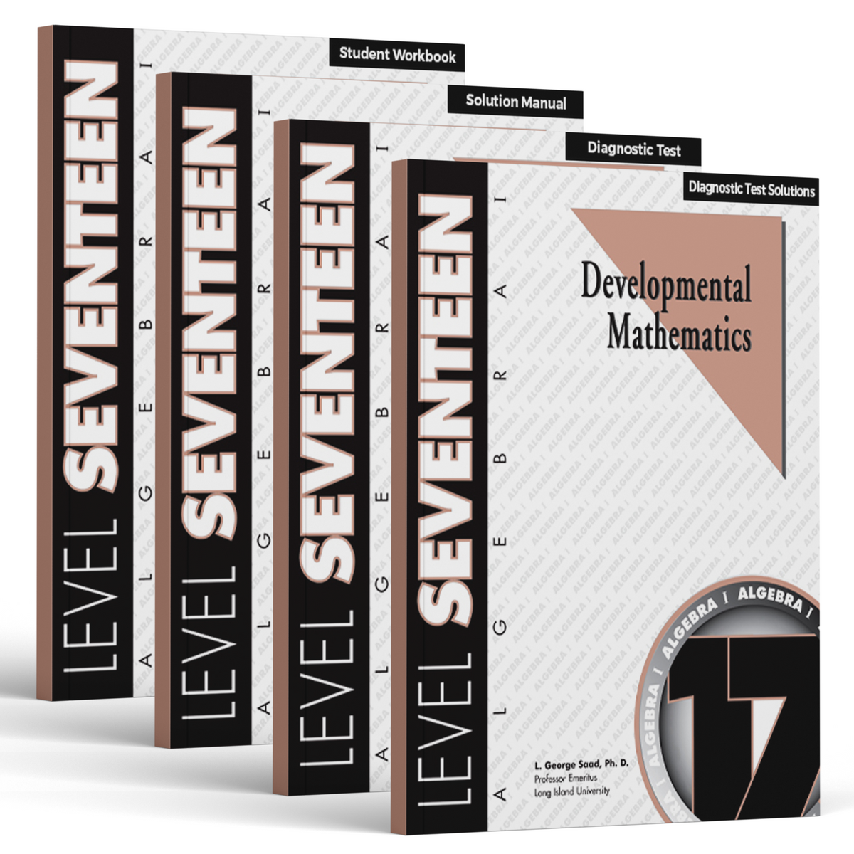 Developmental Mathematics: Level 17 E-Book Set | 9th Grade - 12th Grade Math Curriculum | Algebra 1: Signed Numbers (18 Month Access)