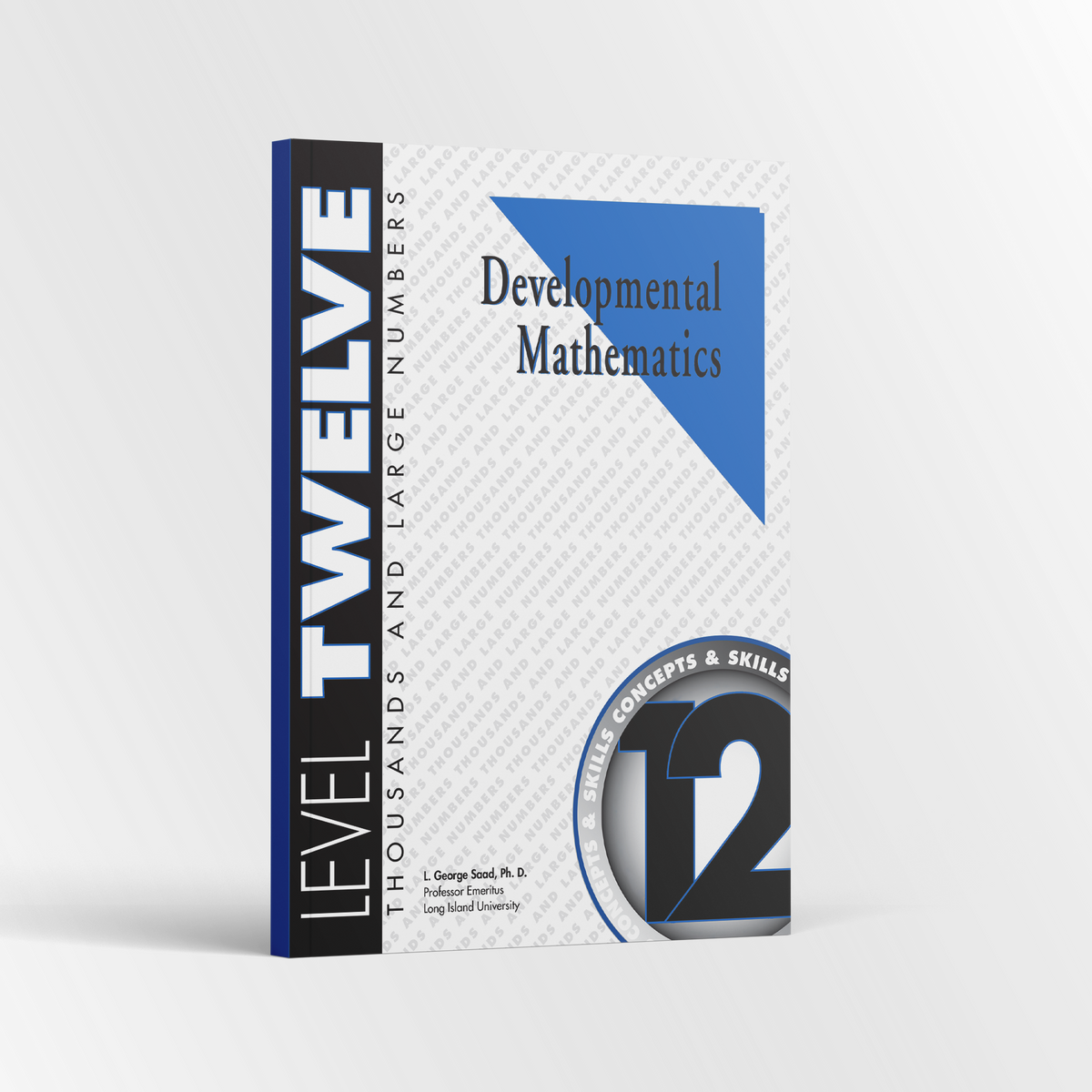 Developmental Mathematics: Level 12 Student Workbook | 6th Grade Math Curriculum | Thousands and Large Numbers: Concepts and Skills (6 Month Access)